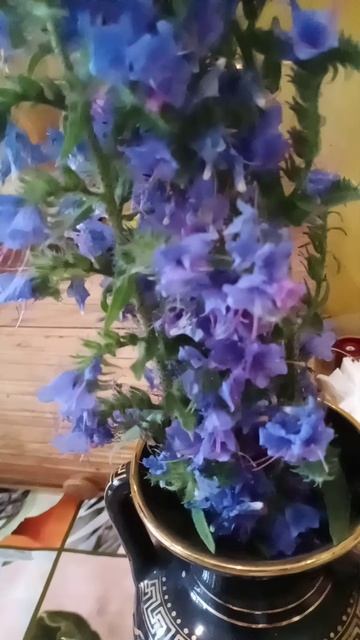 02-06-2025