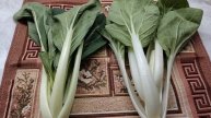 Первый урожай капусты пак чой