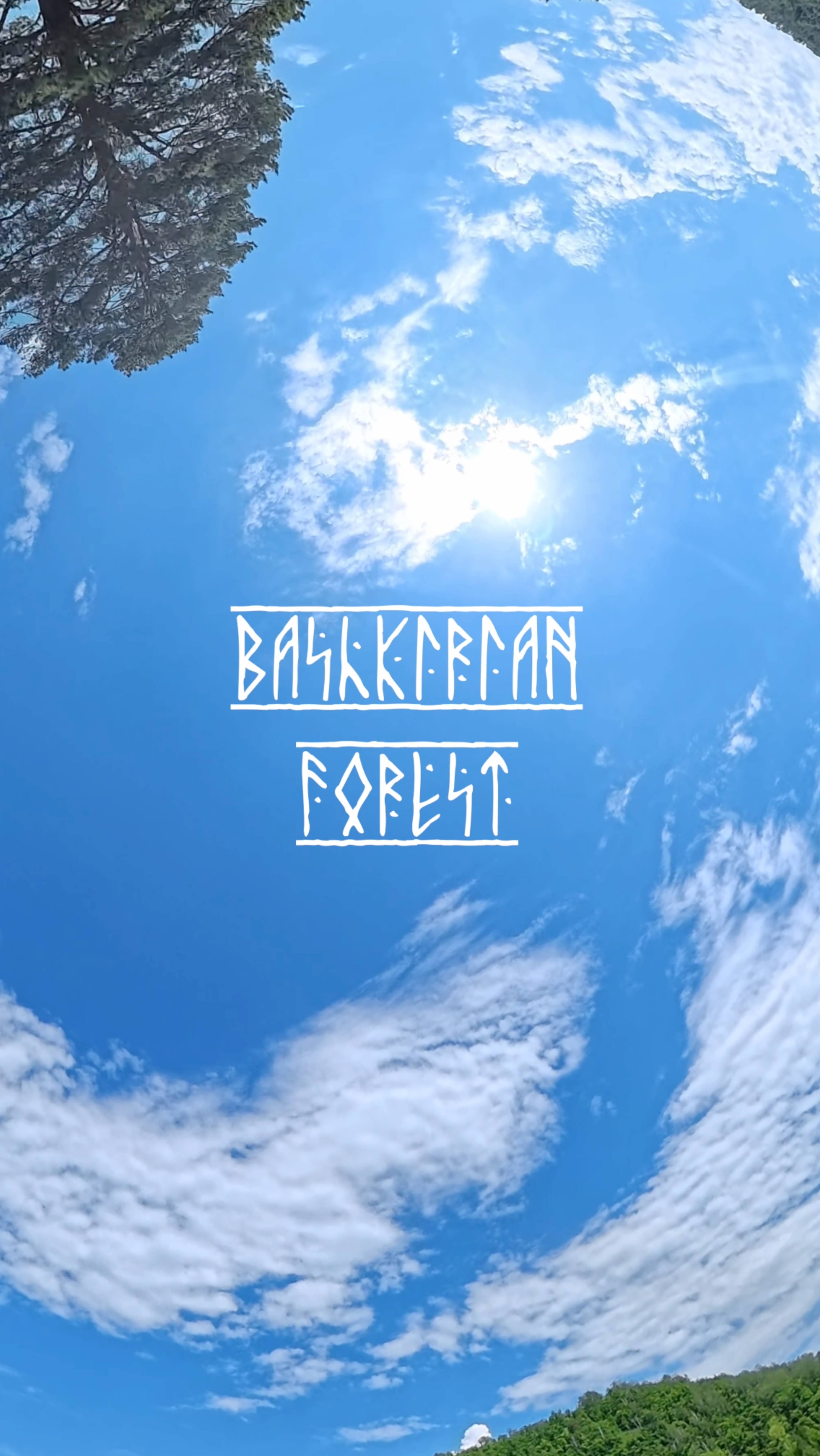 БАШКИРСКИЙ ЛЕС