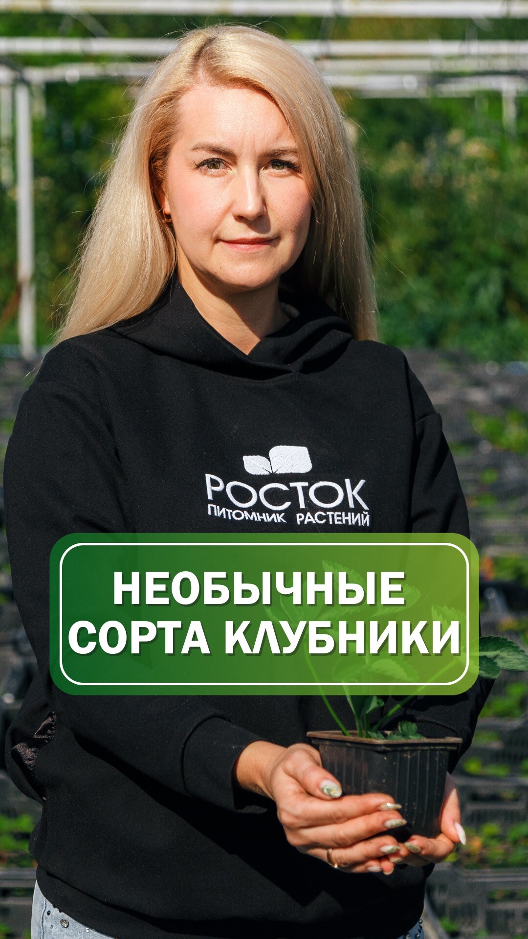 Редкие сорта клубники 🍓