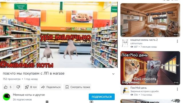 мемы с котами что мы покупаем в магазине