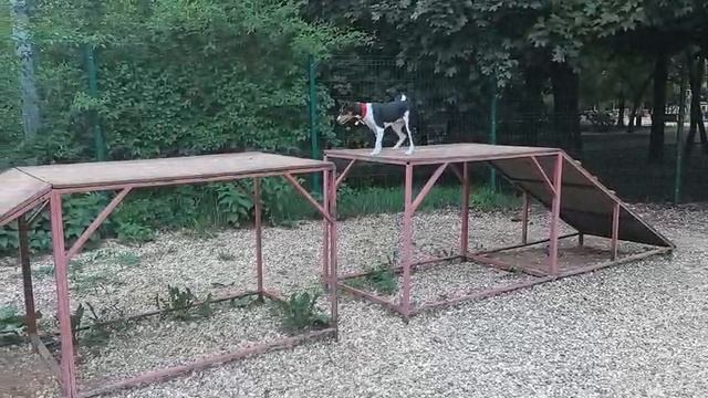 1000087122.mp4
