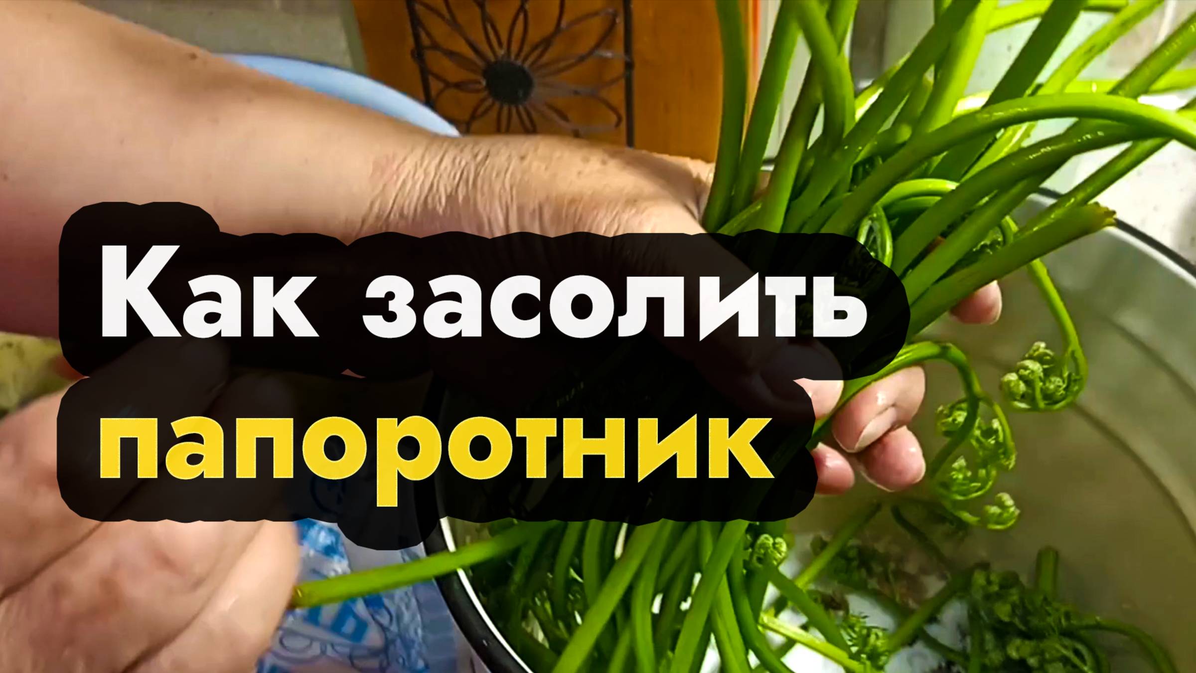 Как засолить папоротник - правильно собрать и посолить папоротник орляк