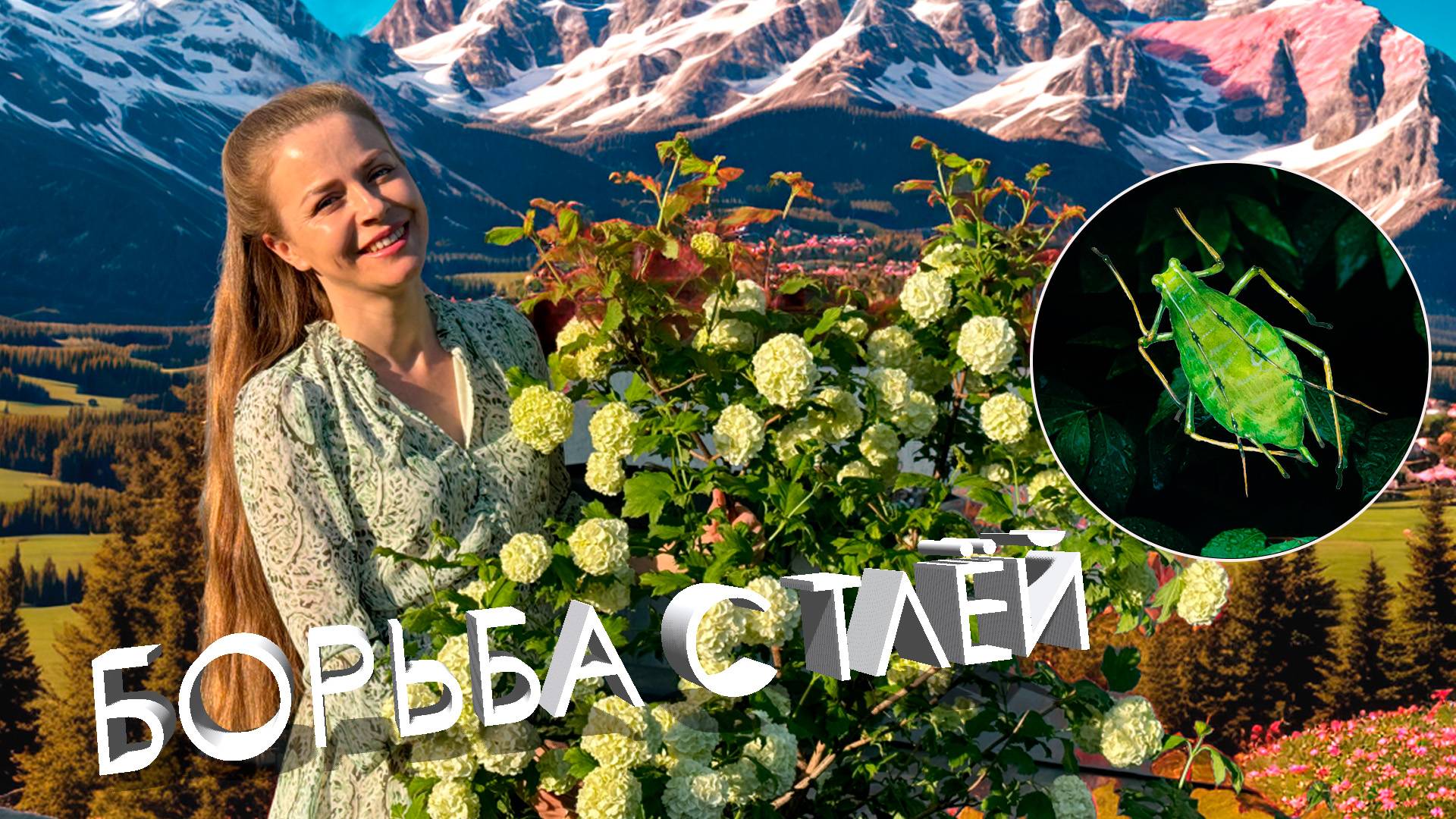 БОРЬБА С ТЛЕЙ