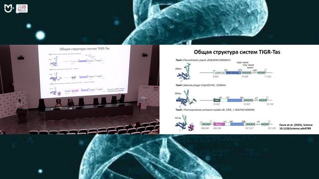 Система TIGR-Tas. Следующий шаг в эволюции технологий редактирования генома Карпов Дмитрий