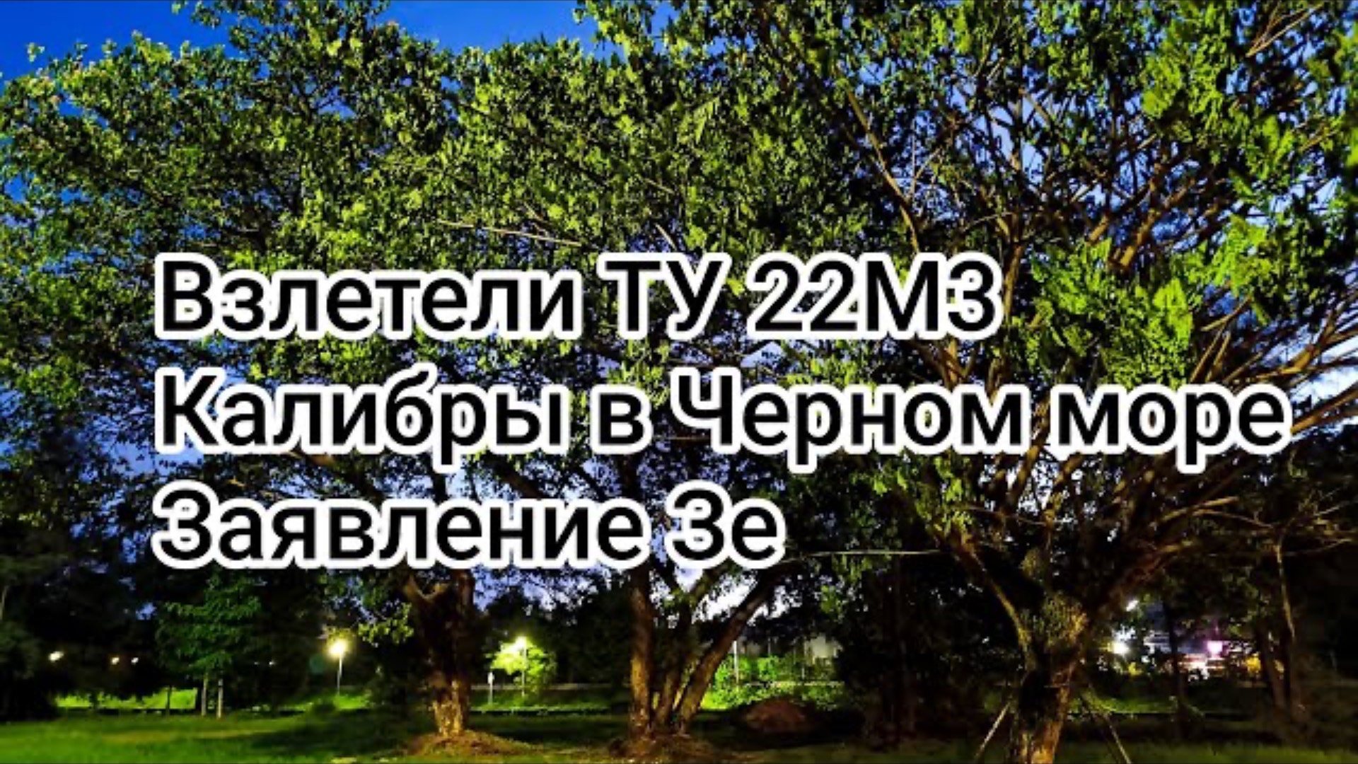 Владелец фур активист майдана 13-14 годов