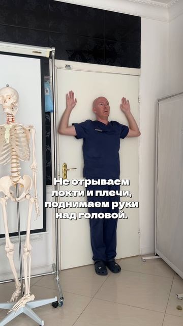 Упражнение от сутулости спины #осанка #сутулость #упражнения