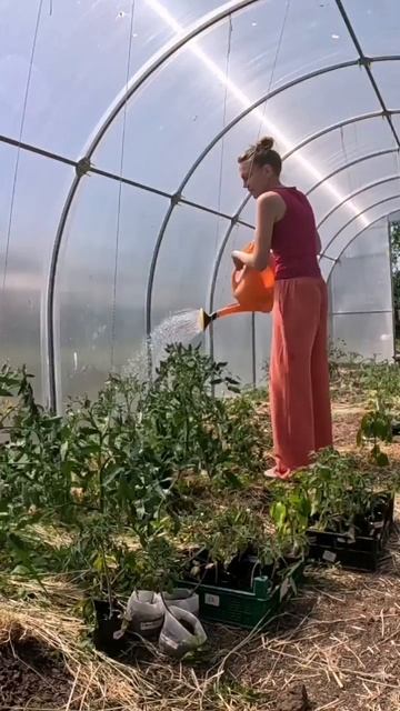 В такую жару можно душ