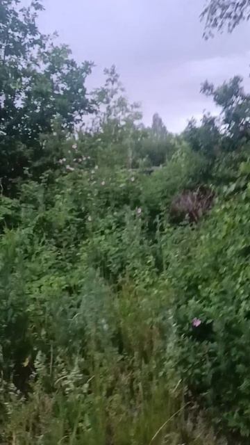 такой был участок