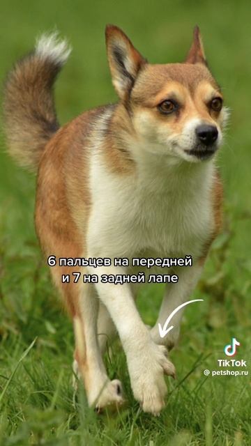 65d801e0e8b1f187cd0f8411deee9c9e.mp4