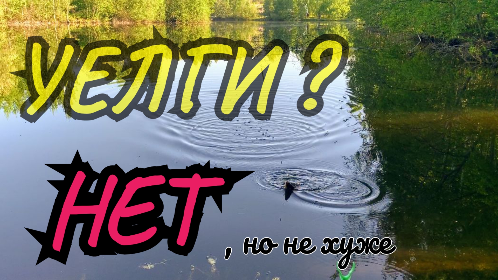 МНЕ СКАЗАЛИ,что ТАМ КАРПА ЛОВЯТ.  СХВАТИЛ УДОЧКУ и ПОЛЕТЕЛ ТУДА.