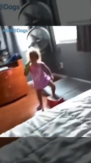 Концерт по заявкам соседей🎙️😂🔈 ( видео про собак и детей )