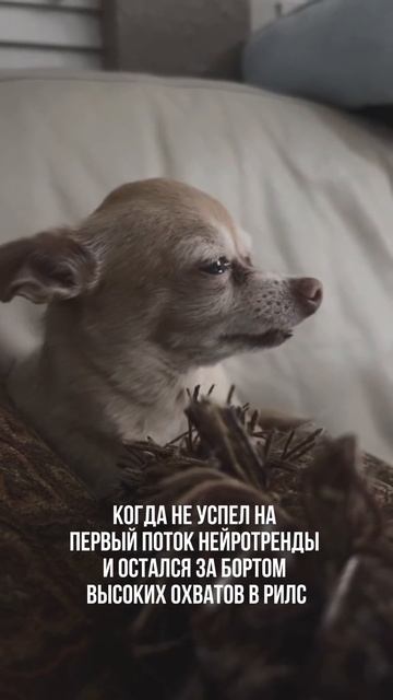 ПОДПИСЫВАЙСЯ НА КАНАЛ➡️@content_smm
⠀