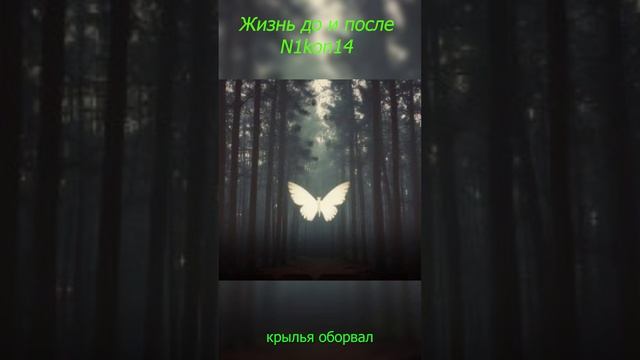 Жизнь до и после