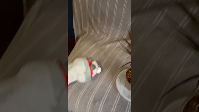 каникулы школа Play Time урок ботаники.mp4