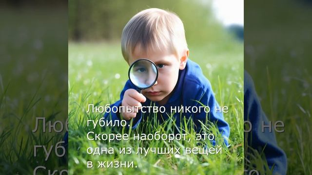 Лайфстайл