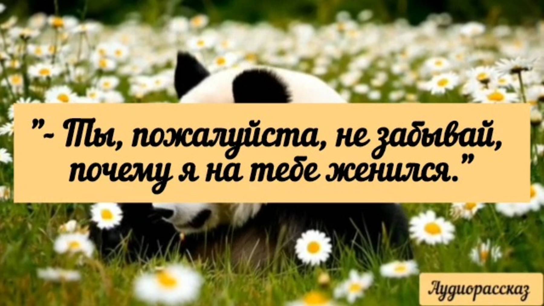 "Благодетель" сам себя перехитрил.