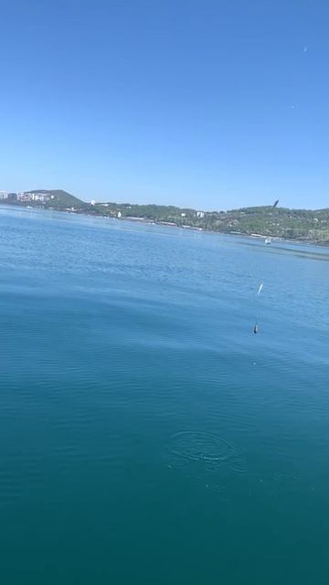 Ловим ставридку в Адлере.