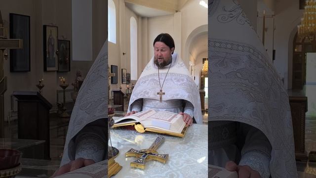 Евангельское чтения дня/Ин.XlV,27-XV,7/. Фрагмент Божественной литургии.