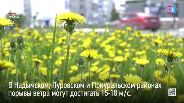 На Ямал надвигается непогода
