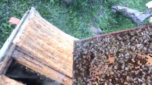 СМОТРИМ ДОМИКИ ВМЕСТЕ ЧАСТЬ 2
