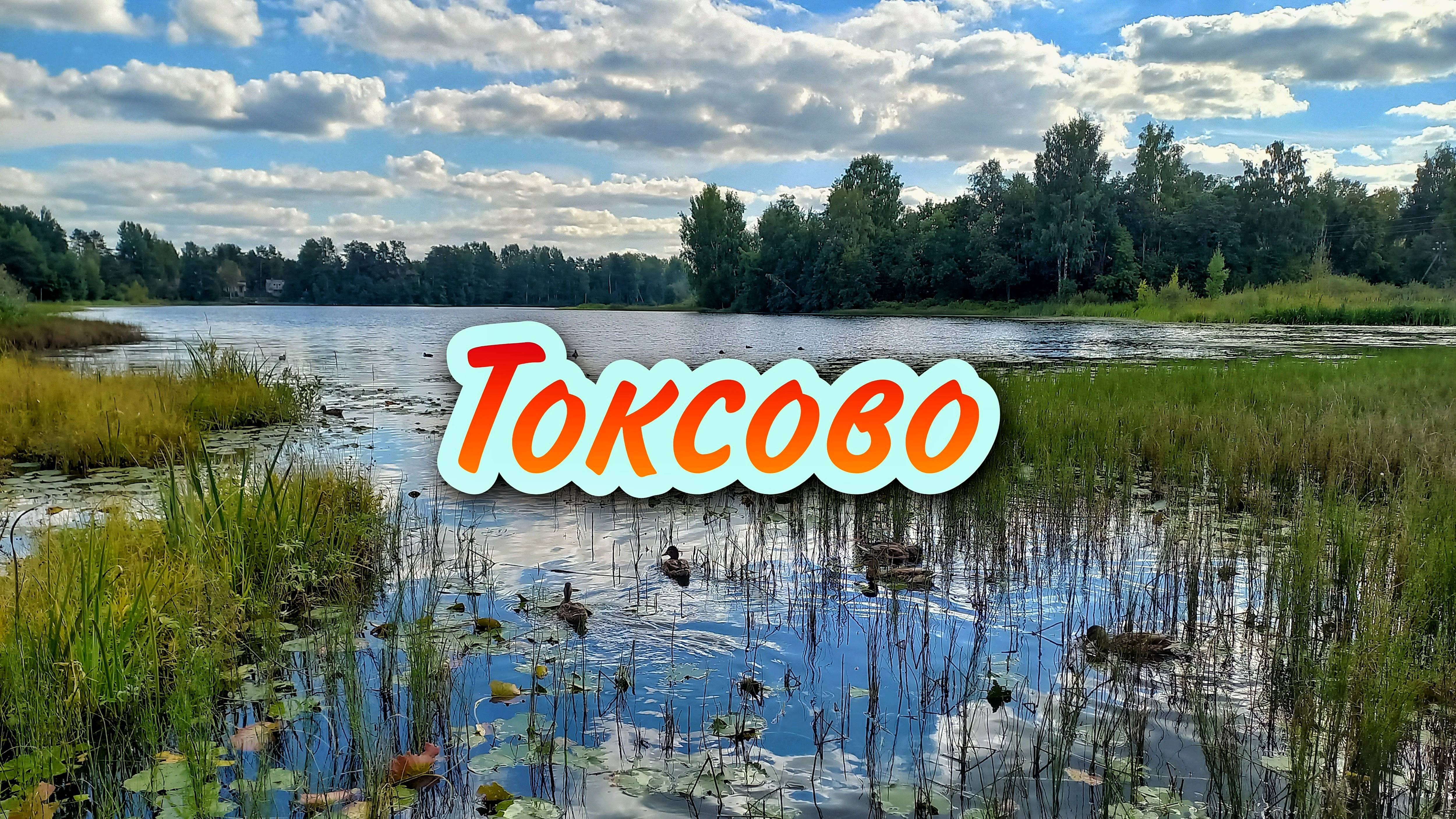 Токсово