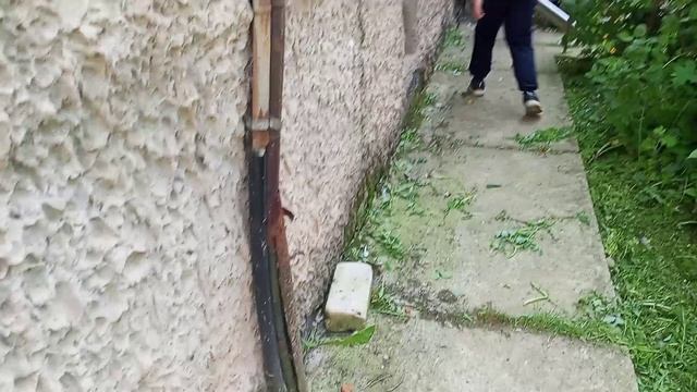 2 серия (монстры)