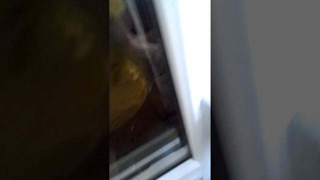 2 сезон 3 серия улица.