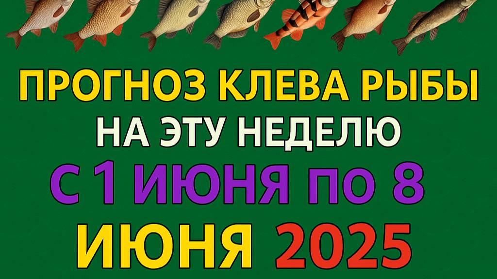 Прогноз клева рыбы на Эту неделю с 1 июня по 8 Июня 2025 Календарь рыбака на июнь 2025