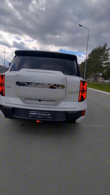 GAC GS8 vs traveler