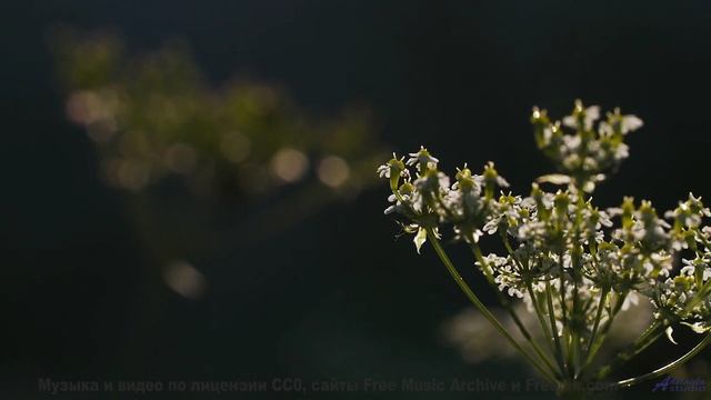 Звёзды падают под этот звук! - Somewhere Between Emotions -- Kirk Osamayo -- Season Two (RED)