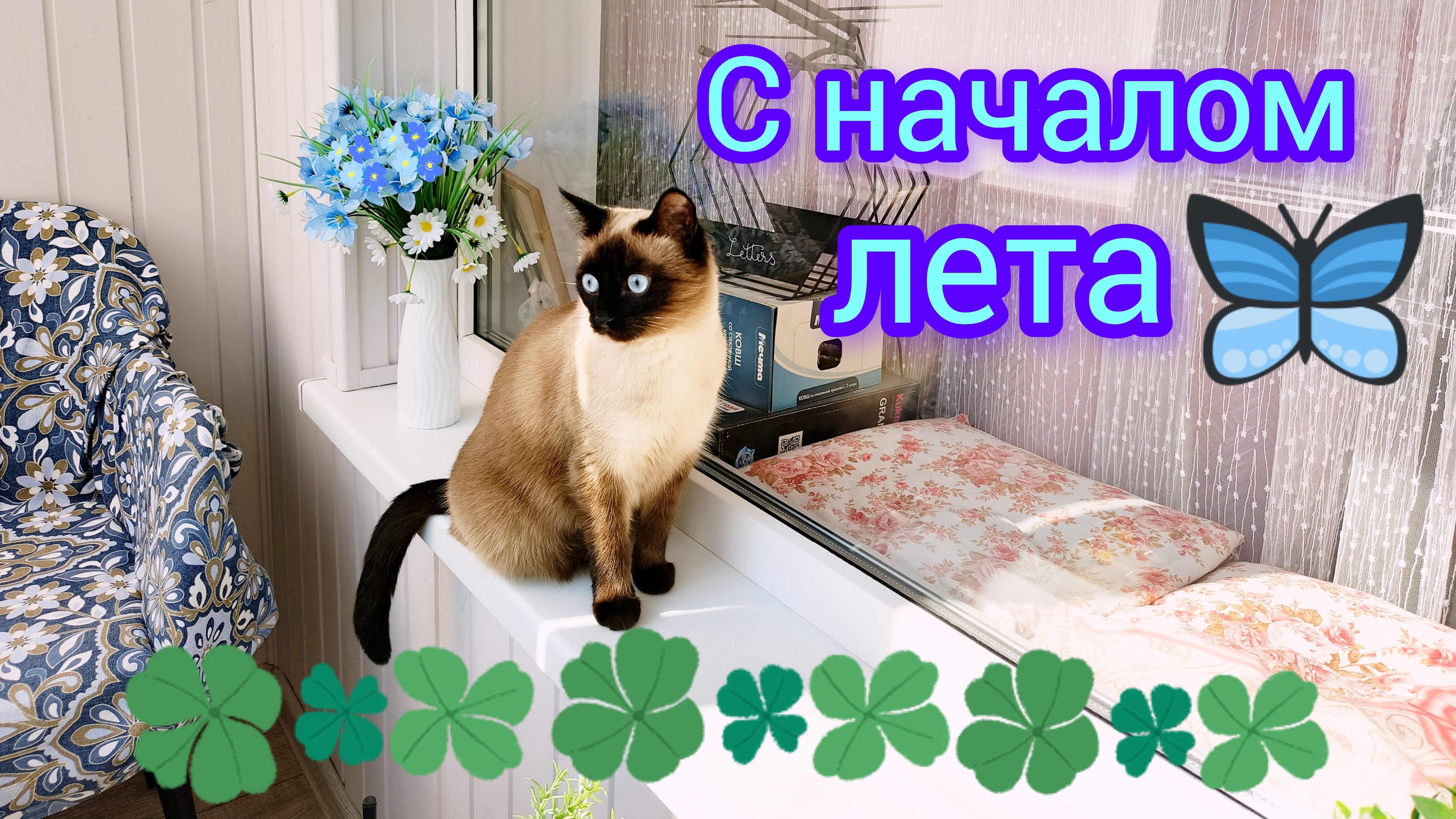Доброе☀️утро🐱2.06.2025🌺Лето🌸 #поговорим #жизнь инвалида #кошка Ладушка