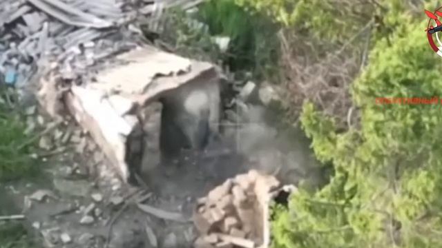 ❌Уничтожение позиции ВСУ.
Удар об ветку не остановил наш дрон, который принес боевикам смерть…
