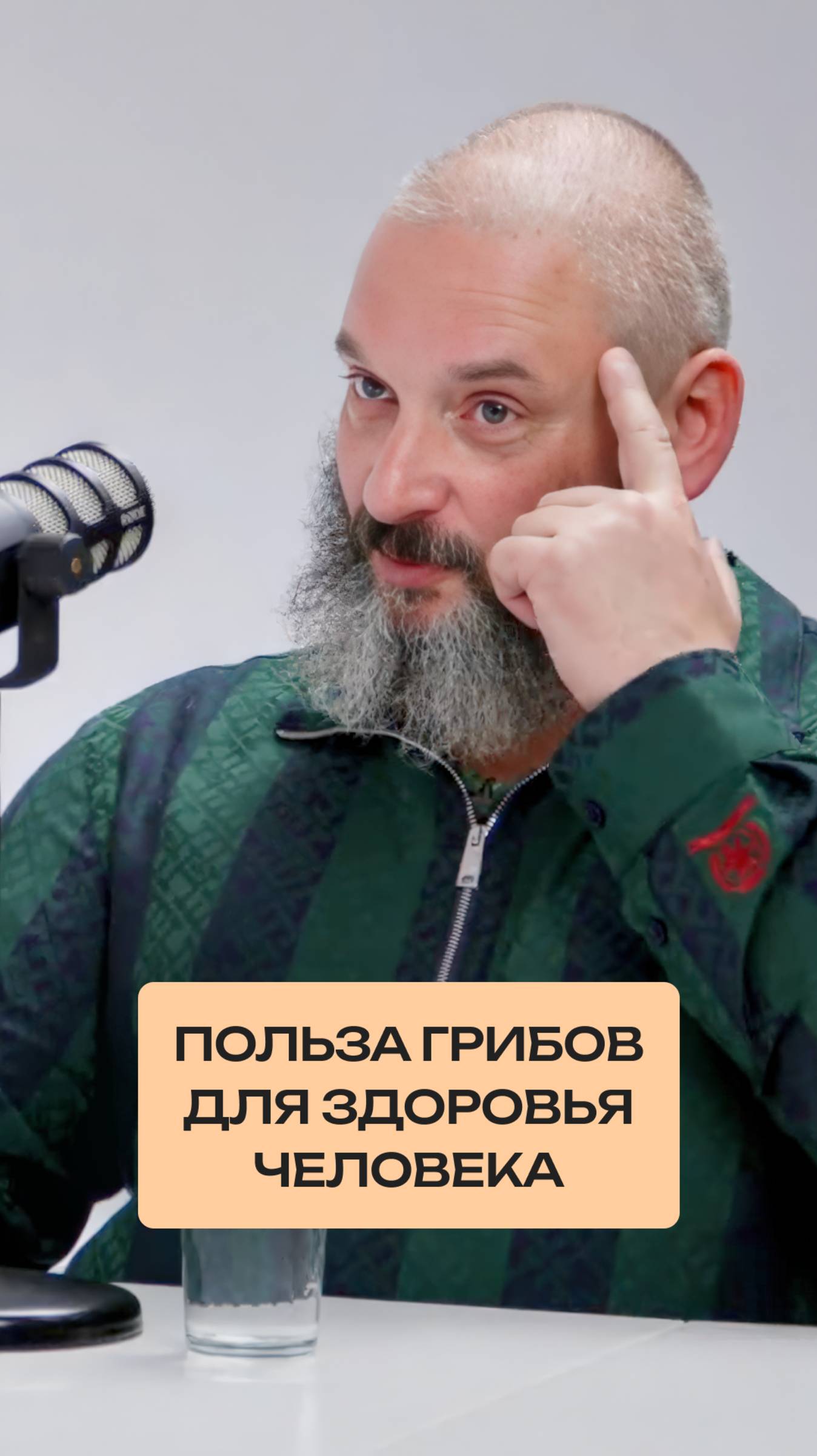 Польза грибов для здоровья человека