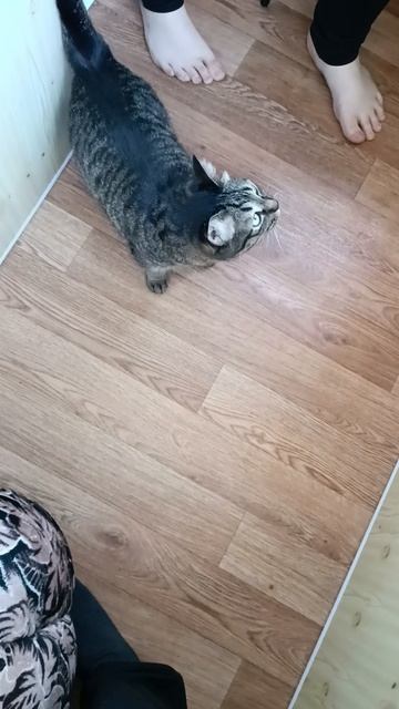 Самсон
