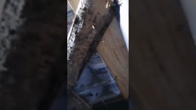 обрешотчик перестарался 🤷