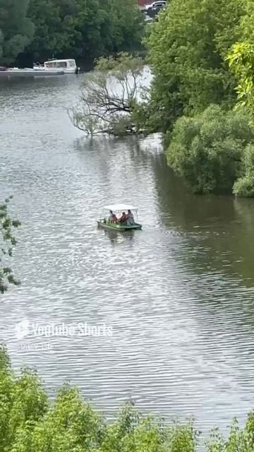 Прекрасная прогулка по парку 👌👍👋😊, всем добра и сметаны 😉👐
