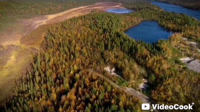 VideoCook_20250528_161703461.mp4