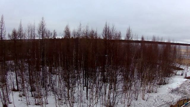 1 июня 2025 Тарко-Сале, ледоход, белые ночи. Timelapse.