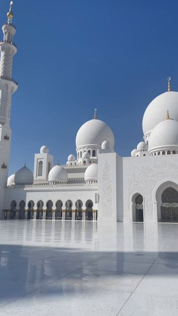 История посещения Мечети Шейха Заида