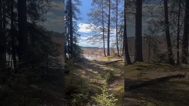 У родного побережья - Иван Платуха