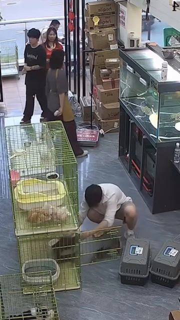 Котята С Правда Говорим