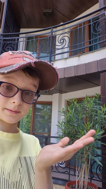мой канал🤟