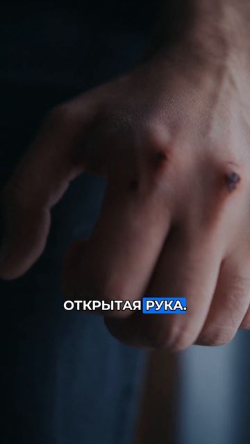 советы фортуны