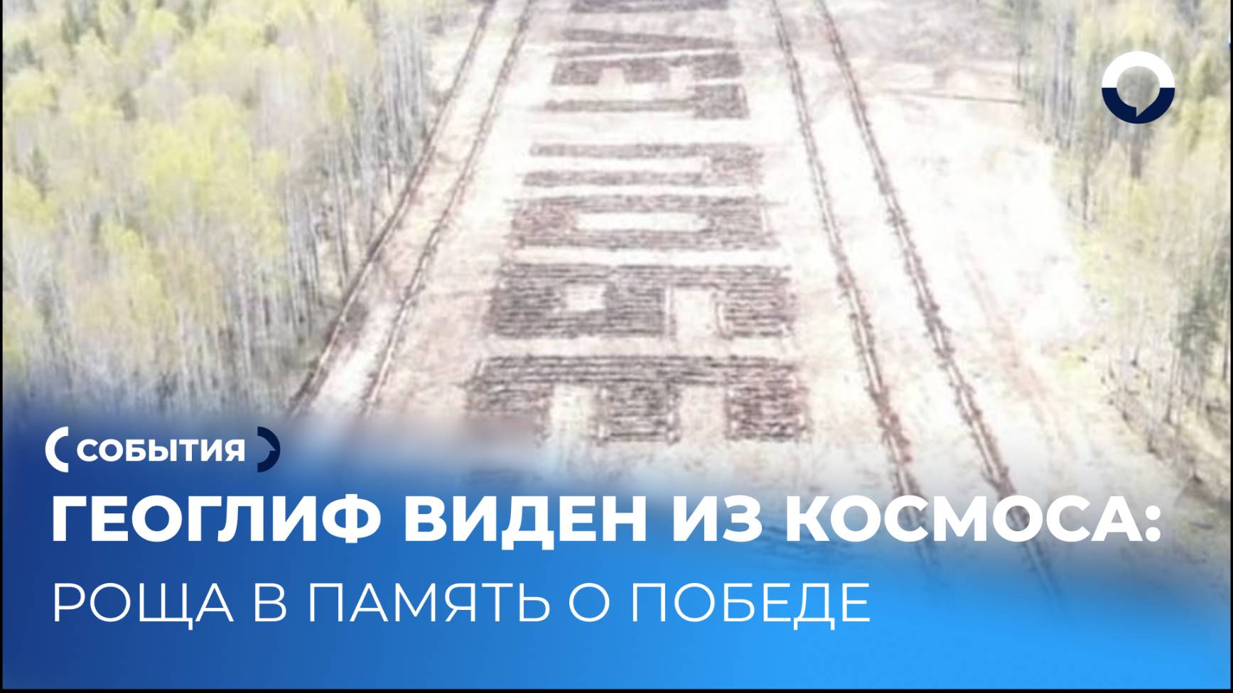 В Свердловской области высадили лесной геоглиф в память о Победе
