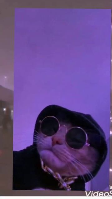 Эстетика🍁✨|Обои💜