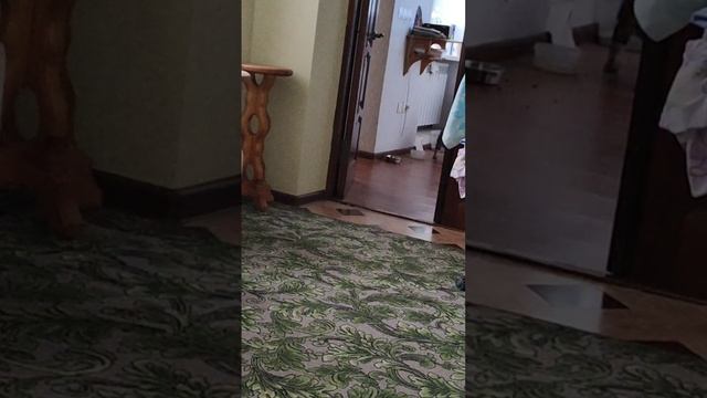 Игра