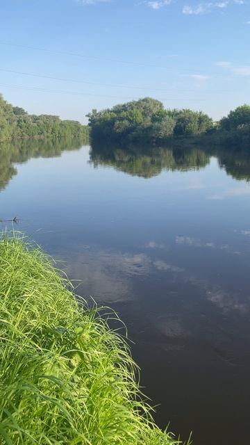 Звуки природы