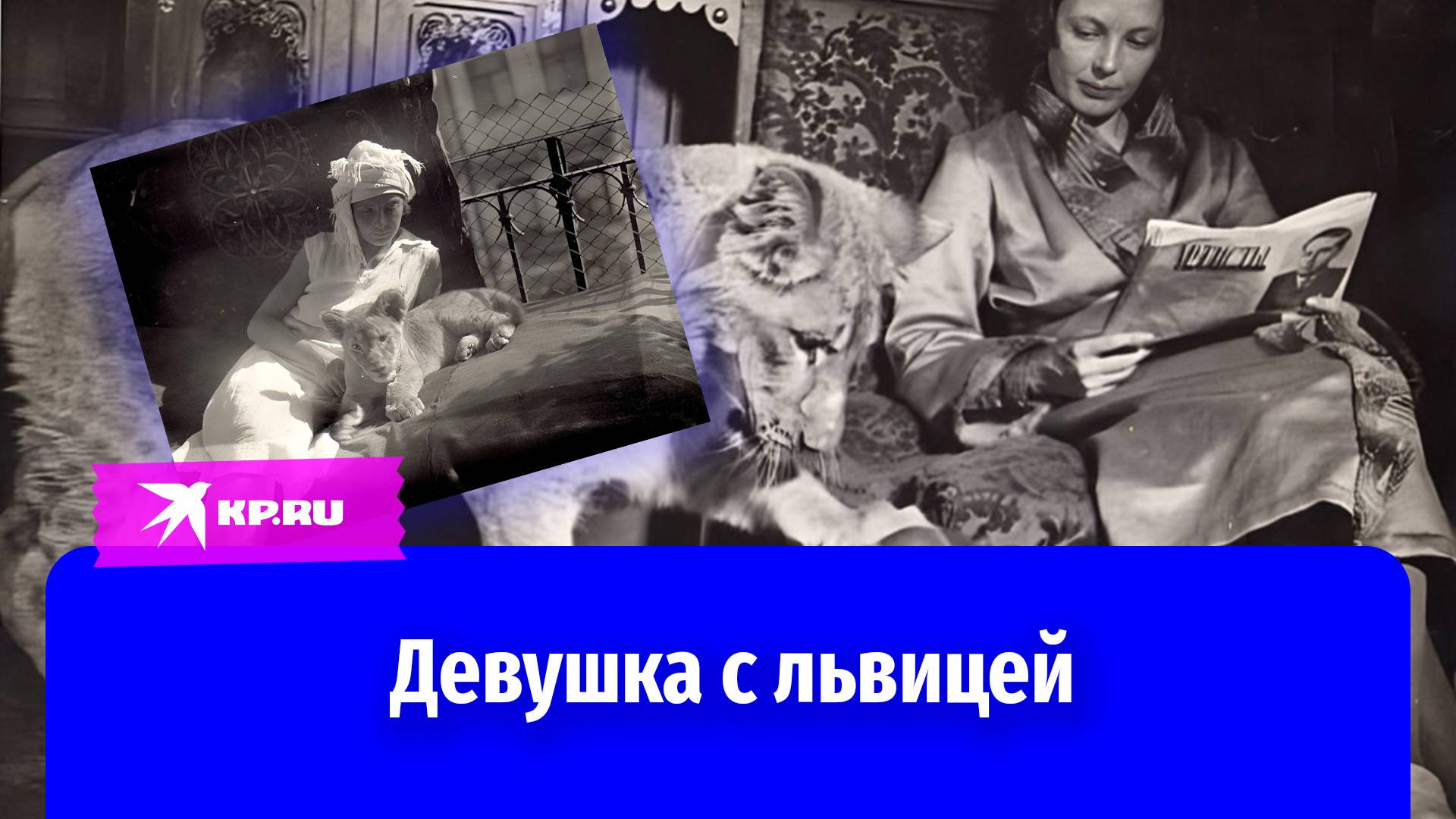 Вера Чаплина: детская писательница приютила львицу в коммуналке