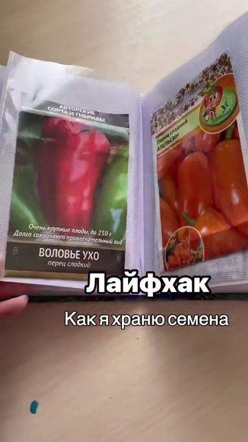 Удобный способ хранения семян